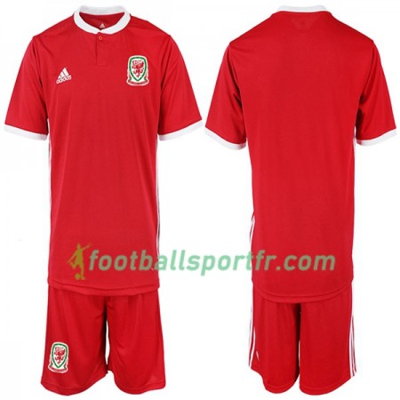 Tenue Pays de Galles Enfant Domicile 2018-2019 Maillot de Foot
